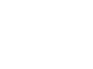 pevolロゴ